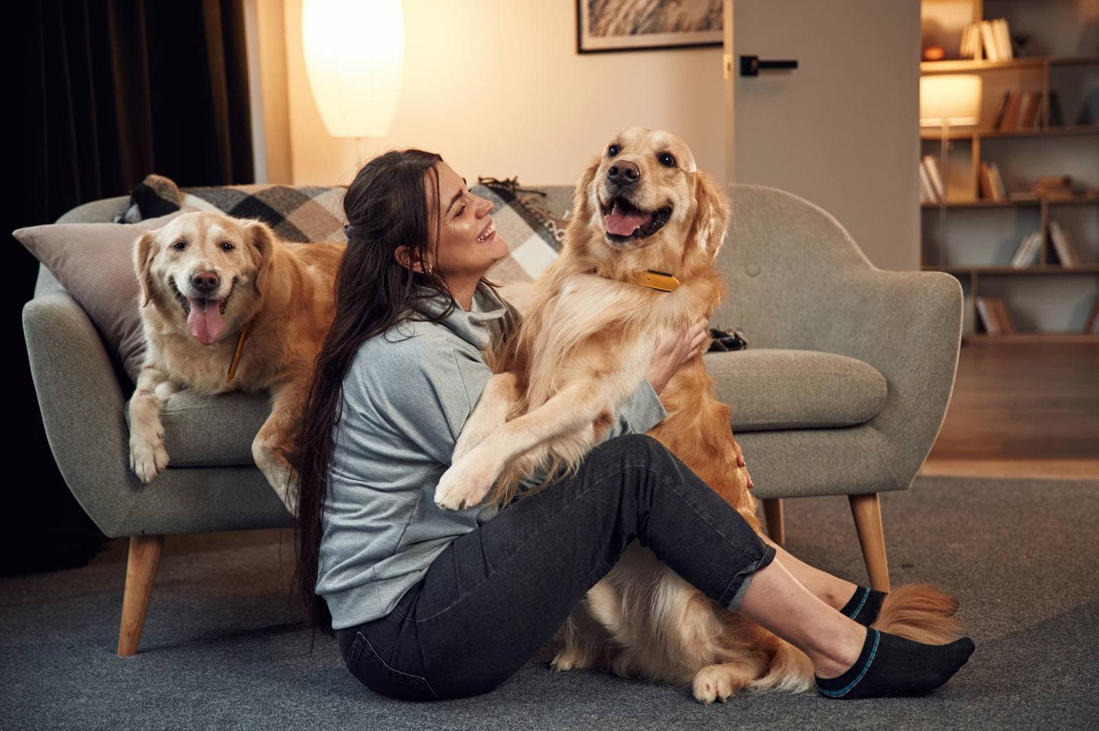 How to choose the right dog for your lifestyle