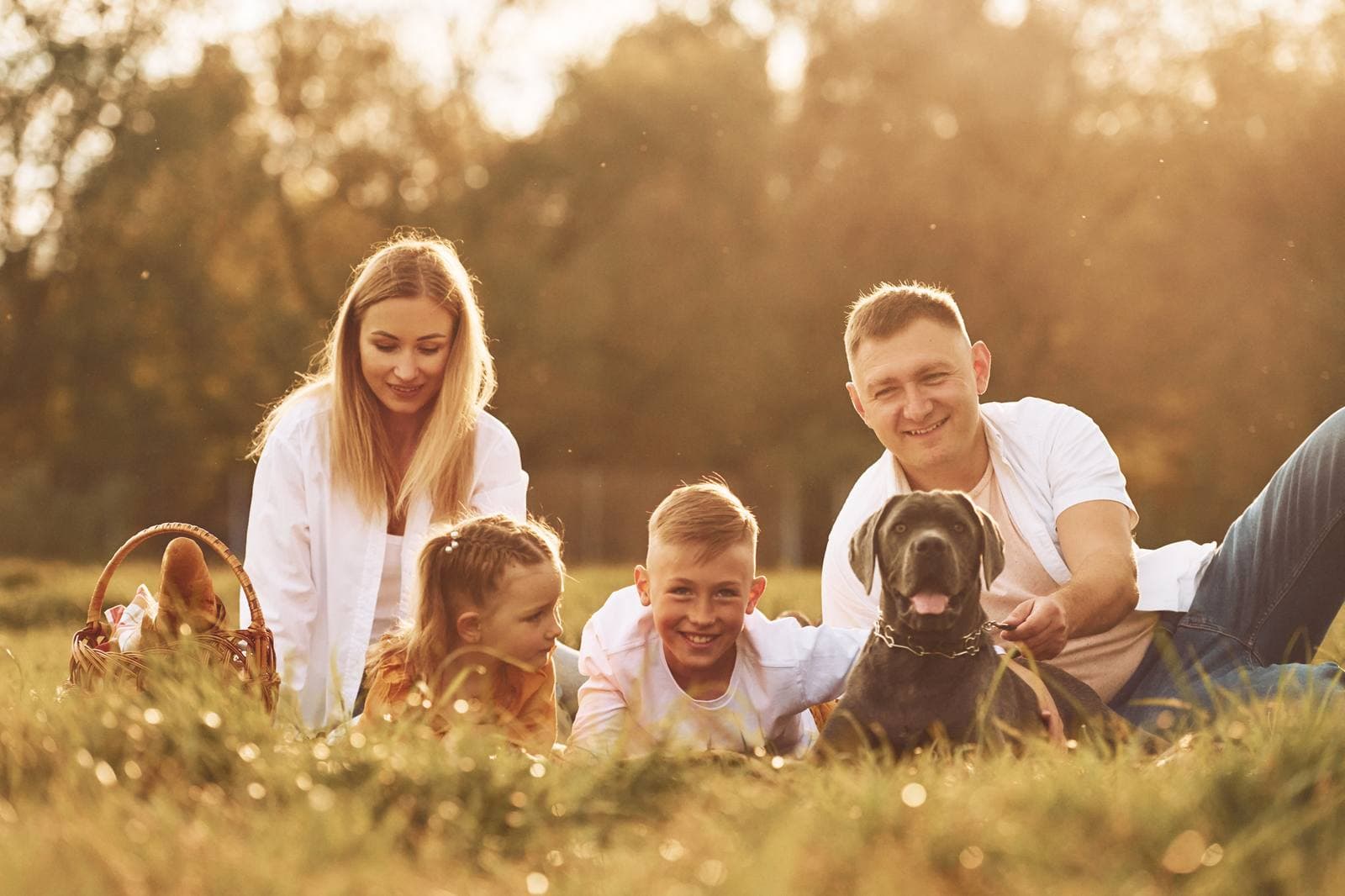 Common mistakes in the first months after adopting a dog
